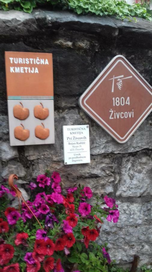 Apartmaji Pri Zivcovih Dutovlje Eksteriør billede